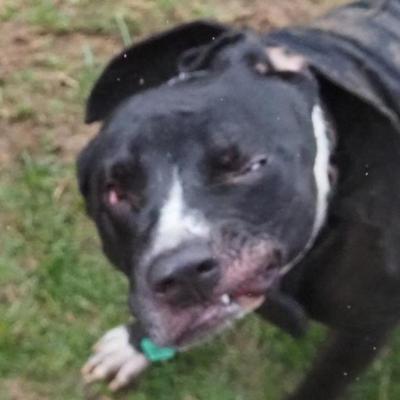 cr0w@infosec.exchange