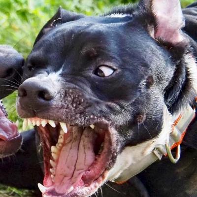 cR0w@infosec.exchange