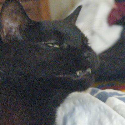 FritzAdalis@infosec.exchange