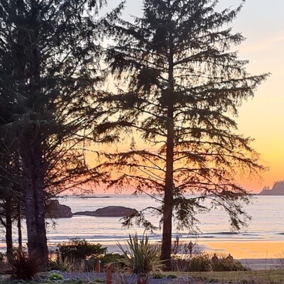 Skjie@infosec.exchange