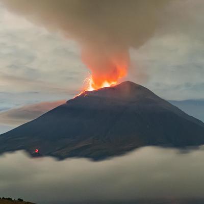 vpz@infosec.exchange