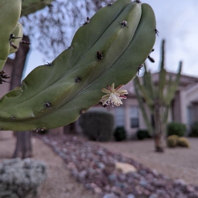 dvdschneider@infosec.exchange