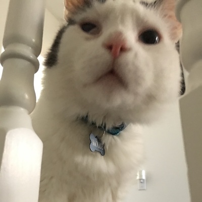 dnakov's avatar