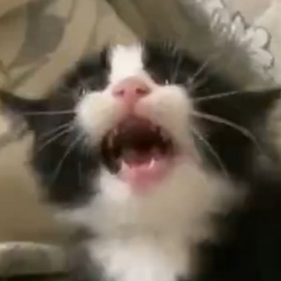klcium_'s avatar
