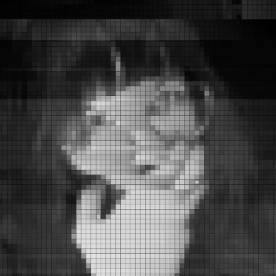 [?]