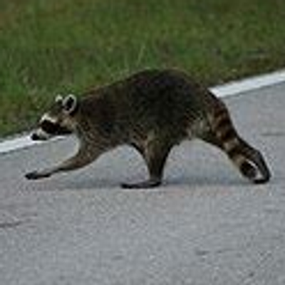 ashguy@infosec.exchange