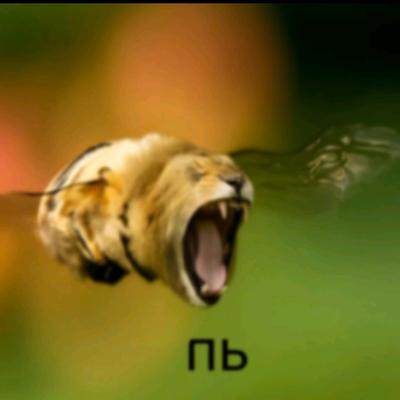 xtr3d@infosec.exchange