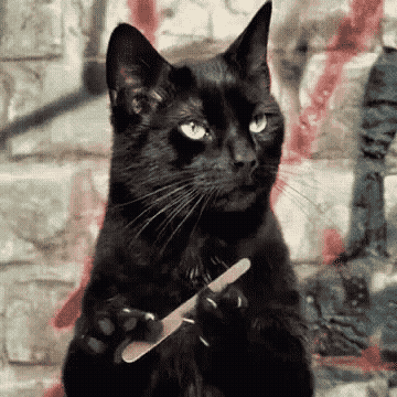 catbrain@infosec.exchange