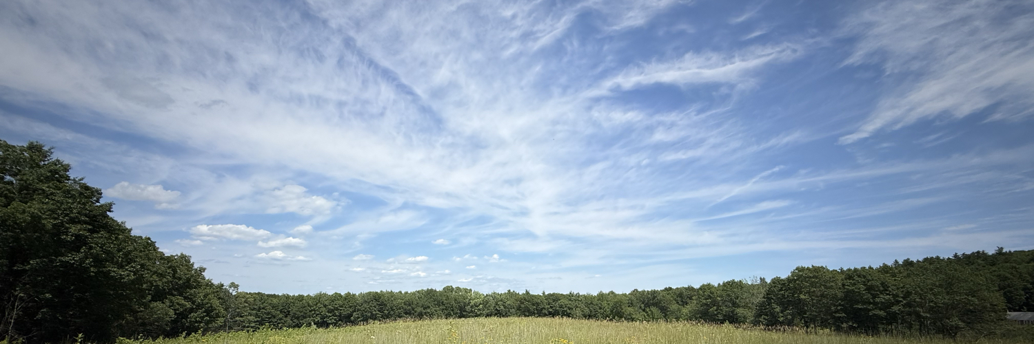 Header Image