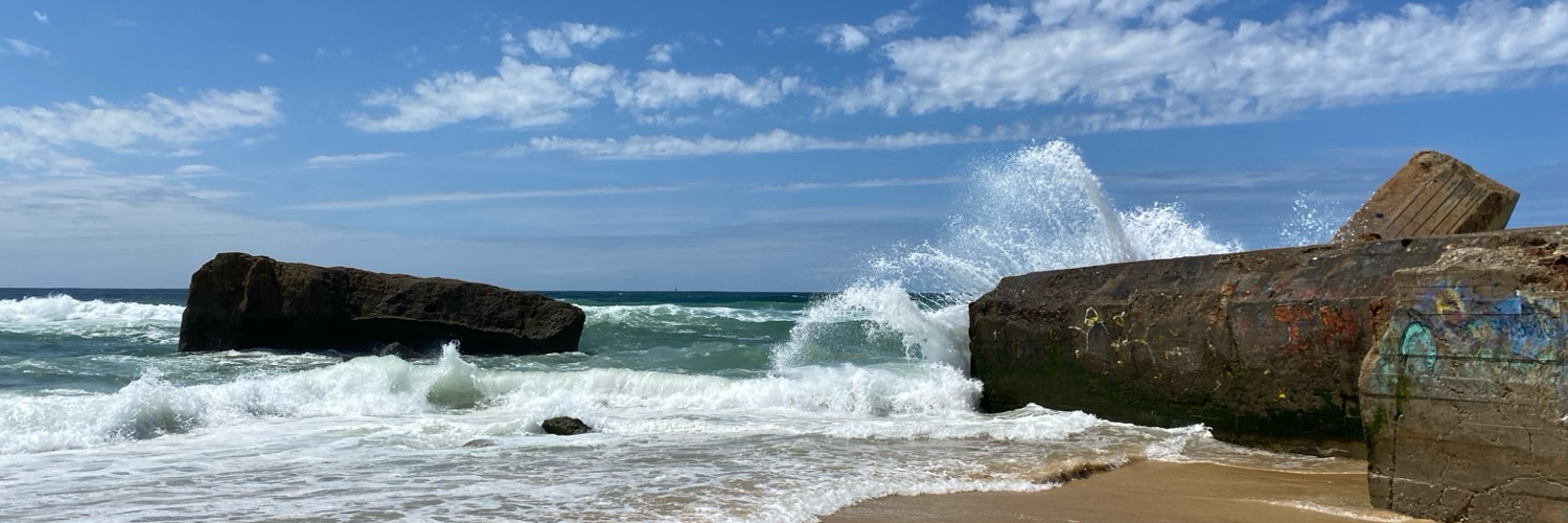 Header Image