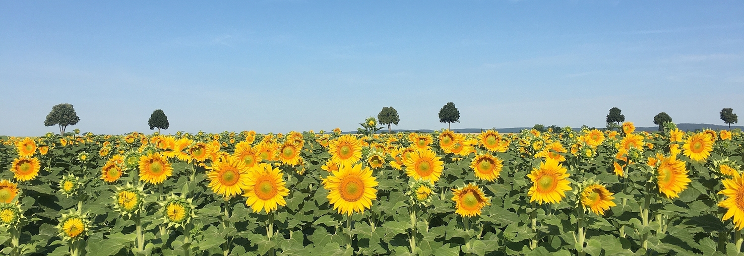 ce3rd's profile header