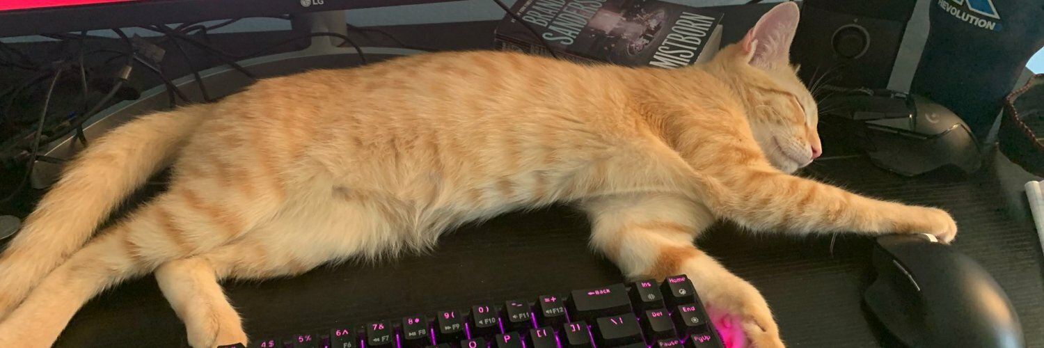 Header Image