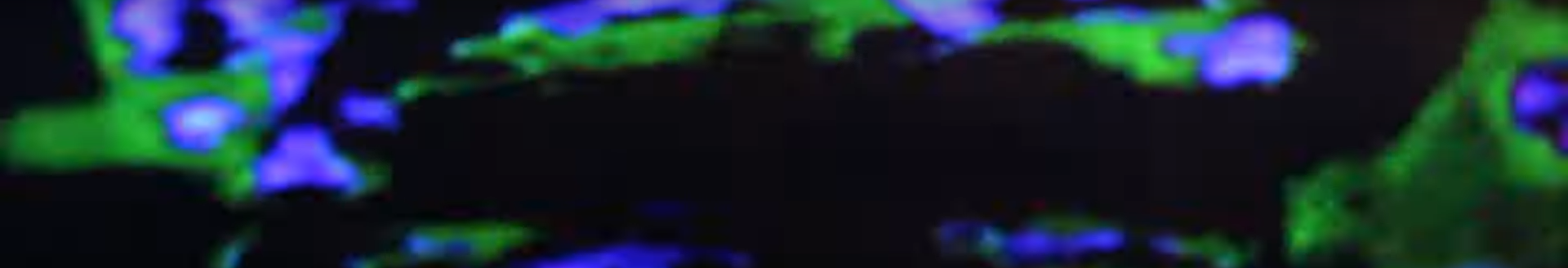 notbobbytables's profile header