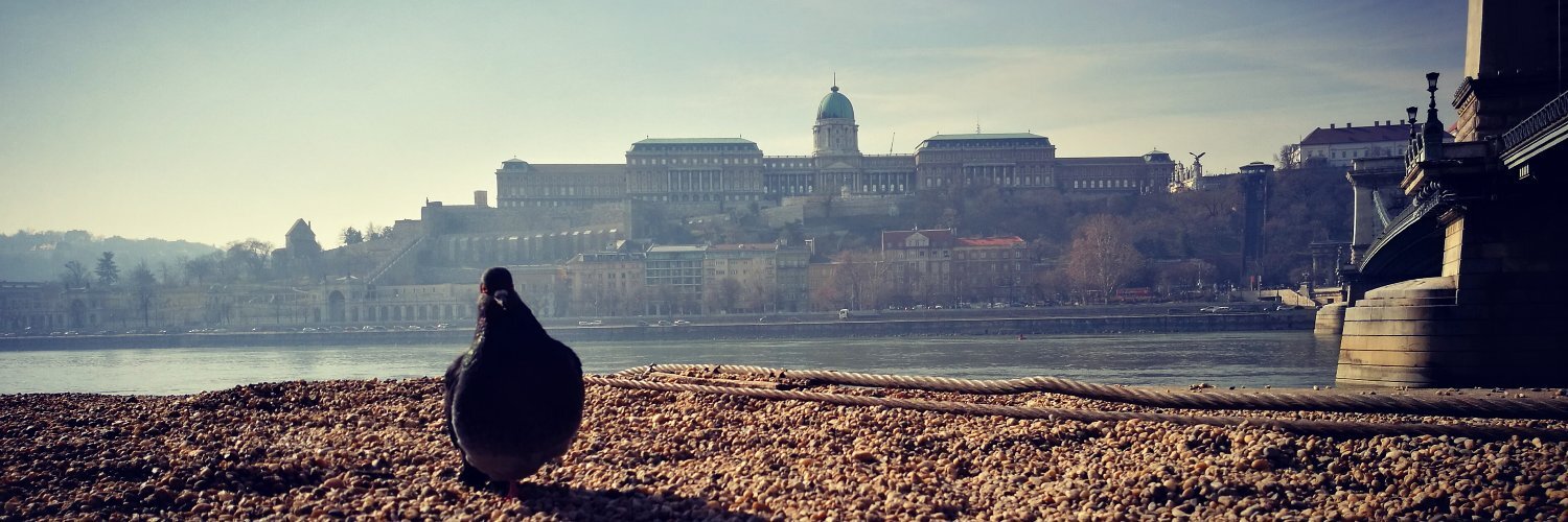 Header Image