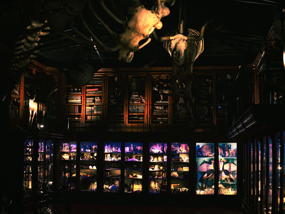Header Image