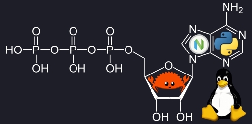 Header Image
