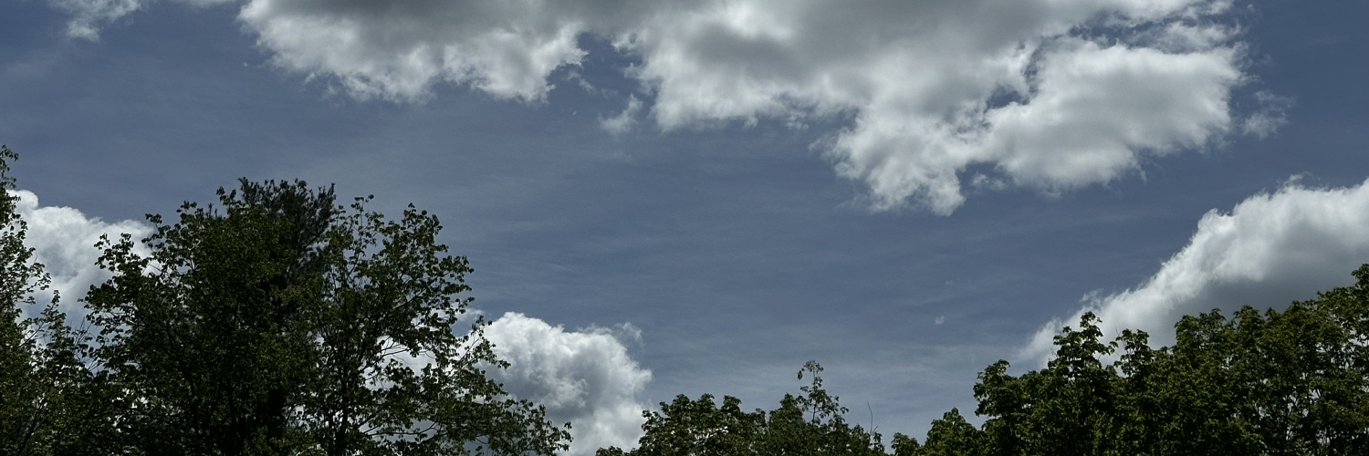 Header Image
