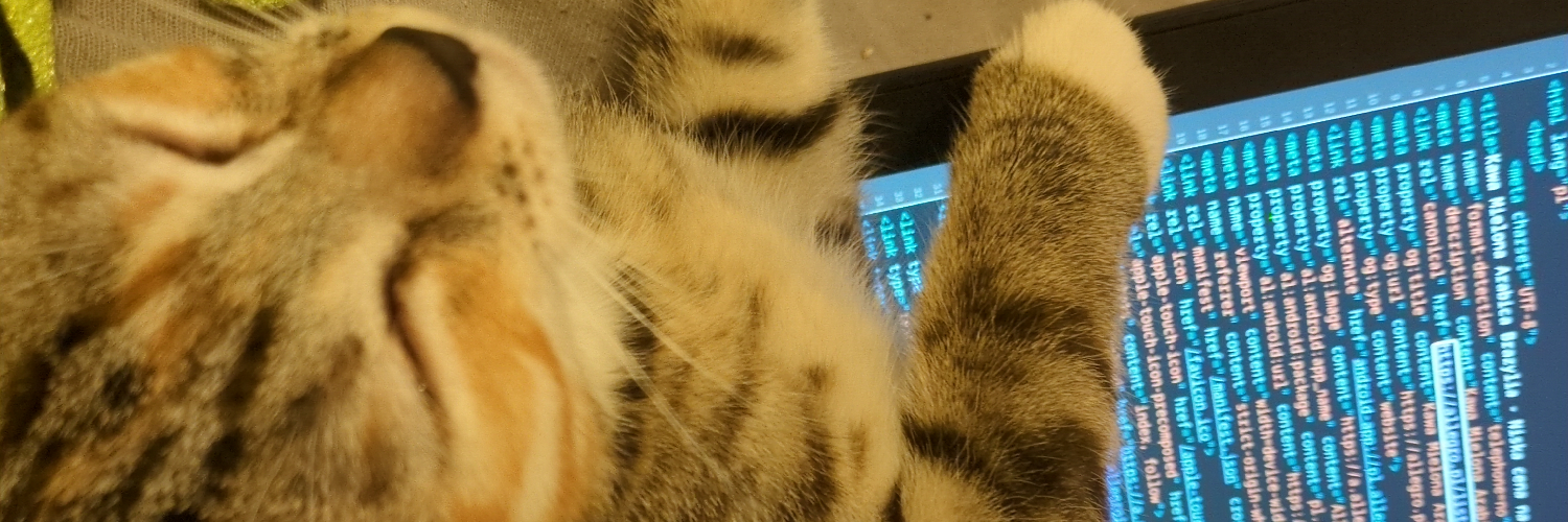 Header Image