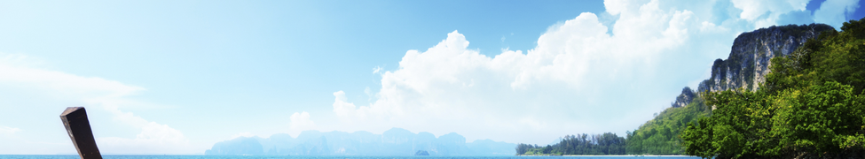 Header Image