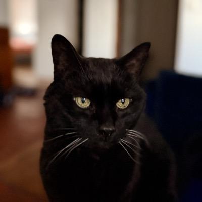 nicoparis's avatar