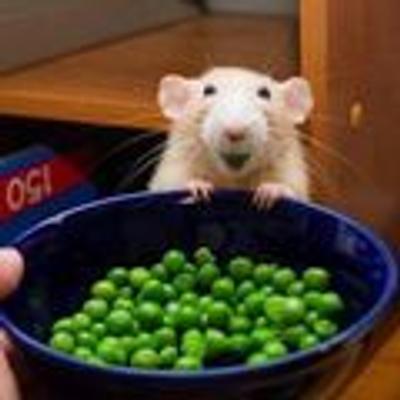 mrpetey's avatar