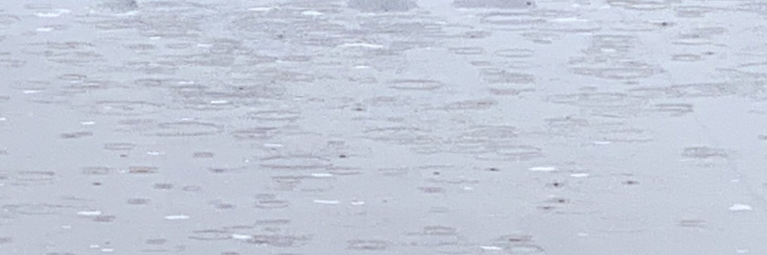 CrazyLittleRaindrop's profile header