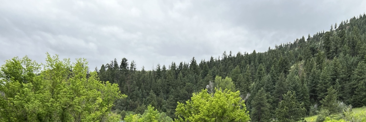 ptoomey3's profile header