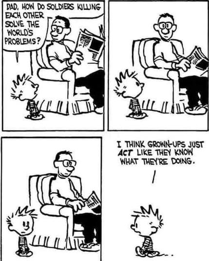A Calvin and Hobbes cartoon where Calvin asks his dad -

"DAD, HOW DO SOLDIERS KILLING EACH OTHER SOLVE THE WORLD'S PROBLEMS?" 

His dad looks stunned, no answer... 

"I THINK GROWN-UPS JUST ACT LIKE THEY KNOW WHAT THEY'RE DOING." 

Calvin walks away...
