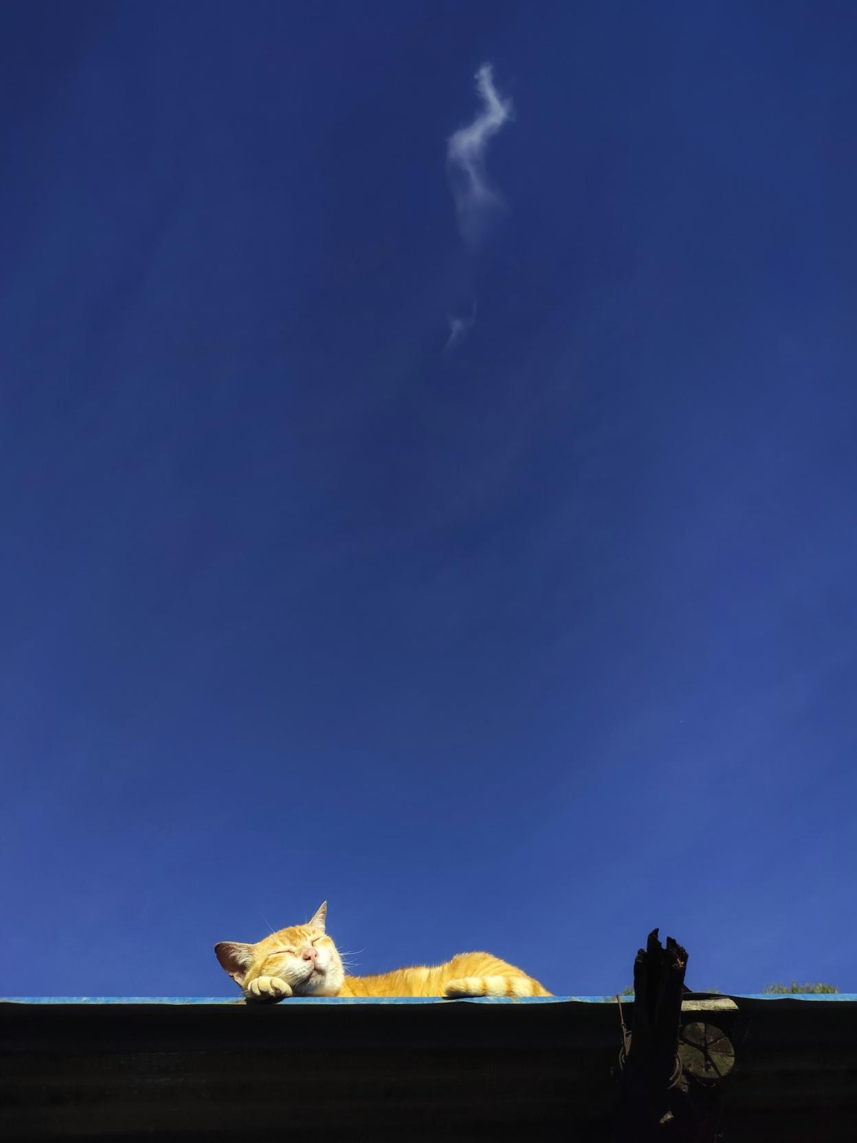 An