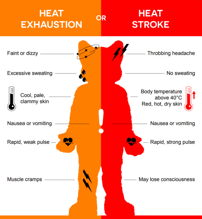Infographic