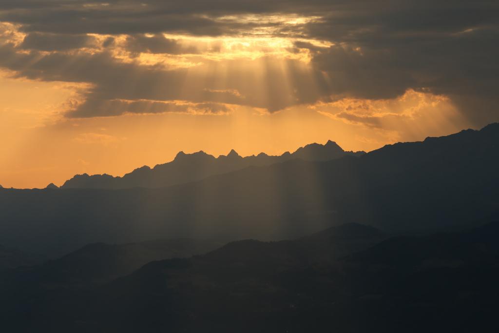 Rayons