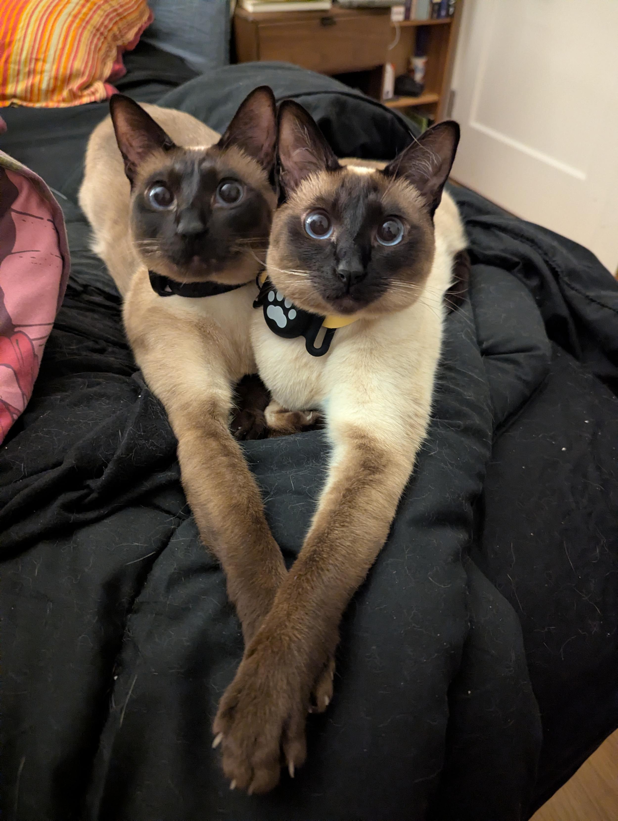 Two
