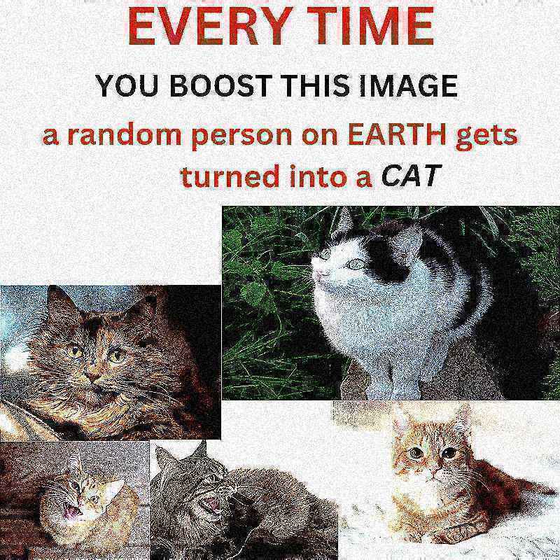Text: