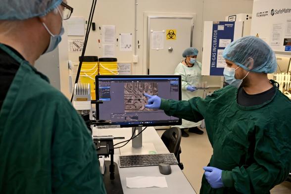 Researchers teach brain cells to play 'Doom'