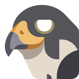 :brdFalcon: