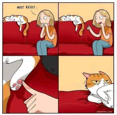 4 panel cartoon, woman sitting on a couch with cat asleep on the back and paws hanging down. First panel she says "Must resist", second panel she's reaching for the paw, third panel she's touching the cat's paw pad, and fourth panel the awoken cat is glaring at her.