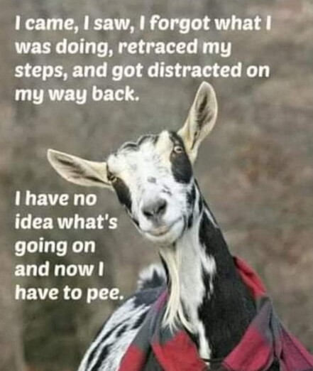 Posted media
