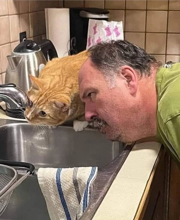Photo of an orange cat and it's owner both staring intently at a sink faucet