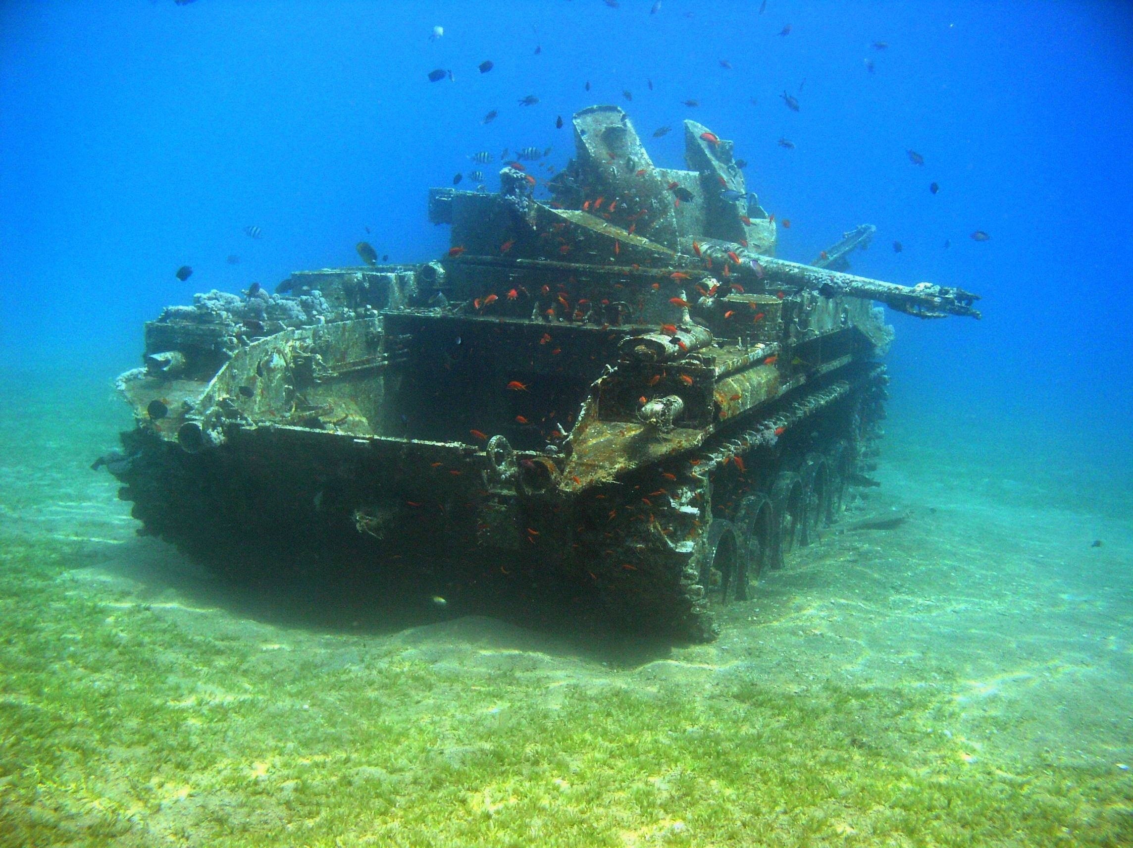 Photo of a destroyed tank that's underwater with a bunch of fish swimming in and around it.
