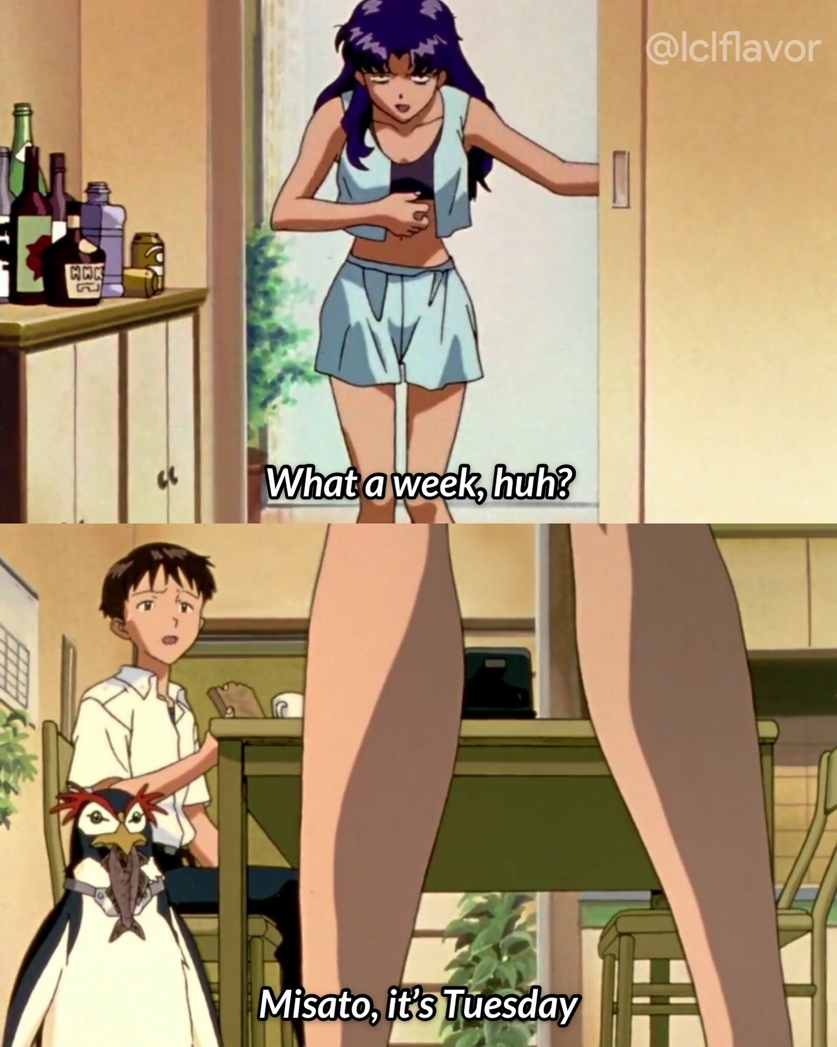 2-panel Neon Genesis Evangelion meme. Top panel shows an exhausted looking Misato sliding open a door while saying, "What a week, huh?"

Second panel shows Shinji eating at a kitchen table with while saying, "Misato, it's Tuesday." Pen Pen the penguin can be seen munching on a fish nearby.