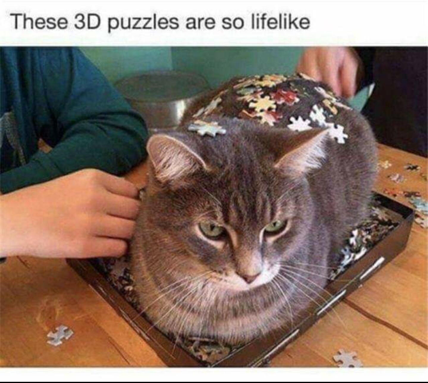 The image shows a gray tabby cat sitting inside a jigsaw puzzle box on a wooden table. The cat appears calm, with its green eyes looking forward. Pieces of the jigsaw puzzle are scattered on the table and on the cat’s back. Two human hands are visible; one is arranging puzzle pieces on the cat, while the other is holding a puzzle piece beside the cat. The scene is playful, creating an illusion that the cat is part of the puzzle.
Transcribed Text:
These 3D puzzles are so lifelike.