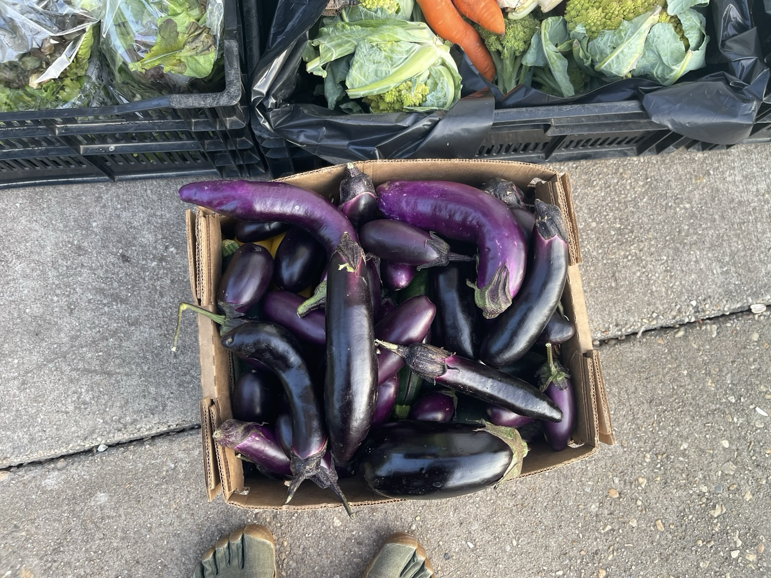 Closeup of boxes and crates including eggplants.
