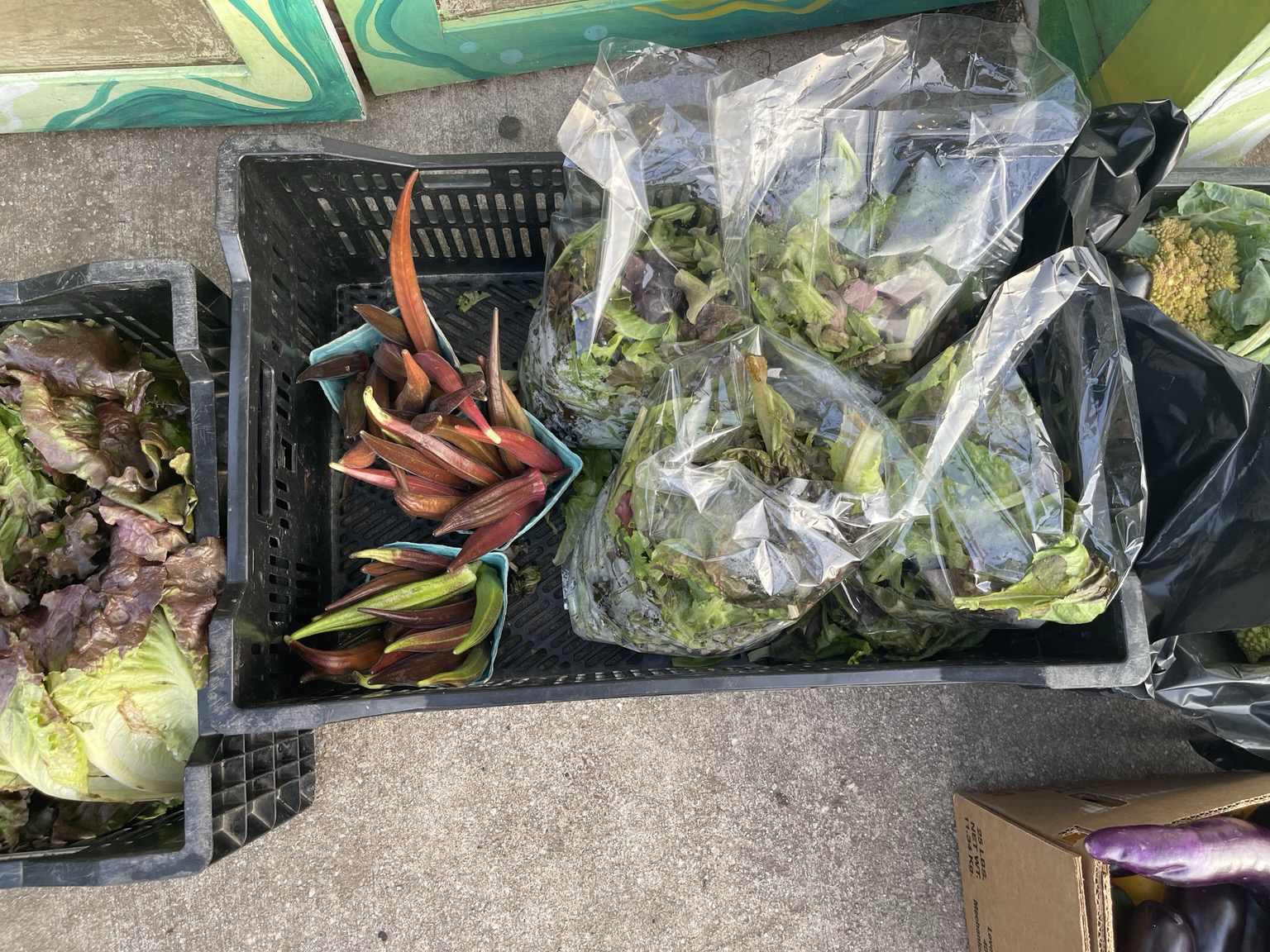 closeup of boxes and crates including colorful okra