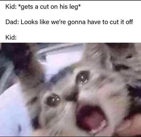 Kid: *gets a coat on his leg*

Dad: Looks like we're gonna have to cut it off

Kid: [Photo of a scared-looking kitten with tears in its eyes.]