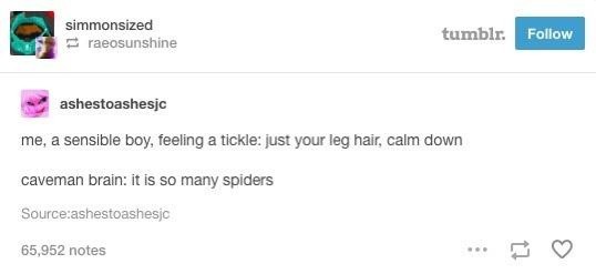 ashestoashesic
me, a sensible boy, feeling a tickle: just your leg hair, calm down
caveman brain: it is so many spiders

