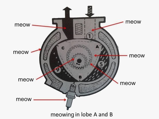 Wankel engine diagram show the internal combustion engine using an eccentric rotary design instead of reciprocating pistons, except everything being pointed out in the figure just says "meow" with the bottom text being "meowing in lobe A and B"