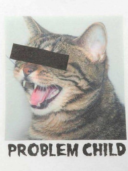 Polaroid photo of a cat meowing in protest to it's crimes with its eyes blacked out for privacy. Bottom text says, "PROBLEM CHILD"
