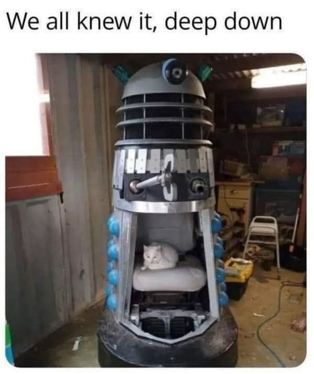 The image features a Dalek, a well-known science fiction character from "Doctor Who," prominently in the center. This Dalek has a typical design with a metallic and somewhat robotic appearance, incorporating shades of gray and blue. However, the unique and humorous twist in the image is that there is a white cat comfortably nestled inside the Dalek, sitting on a cushion as if it has made this unusual contraption its resting place.

The scene appears to be set in a somewhat cluttered and makeshi…