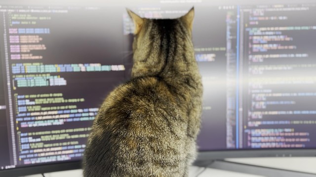 Photo of a cat sitting directly in front of a curved monitor with a bunch of code on it. The kitty is facing the screen is less then a centimeter away. Is this what they call "agile" development?