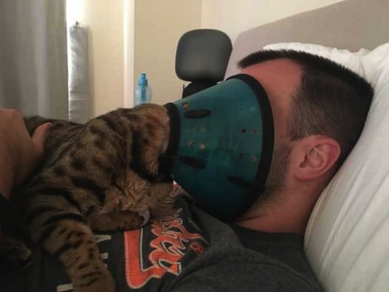 Photo of a cat laying on someone's chest while it wears a face cone (to prevent licking its wounds), except the kitty it pressing its face up against the human. 

"My cone? No, this is our cone!"